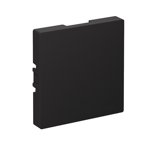 Заглушка AtlasDesign карбон Systeme Electric ATN001009: фотография 1