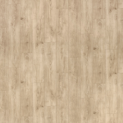 Линолеум Идилия Нова Motion 2  2,5м  : фотография 1