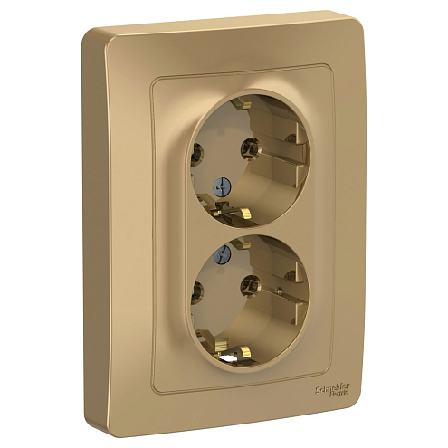 Розетка 2-м СП Blanca 16А IP20 250В с заземл. без защ. шторок титан SchE BLNRS001024: фотография 1