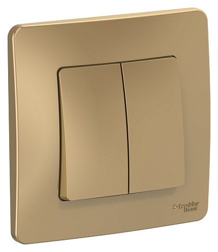 Выключатель 2-кл. СП Blanca 10А IP20 (сх. 5) 250В титан SchE BLNVS010504: фотография 1