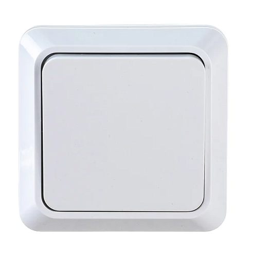 Выключатель 1-кл ОП Bolleto 10А IP20 7021 белый ASD / IN HOME 4680005959747: фотография 1