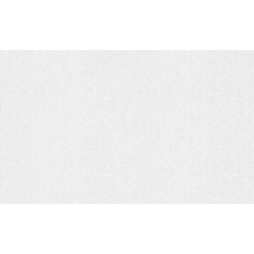 4001-01 Обои "Палитра"  25х1.06 под покраску Метелица : фотография 1