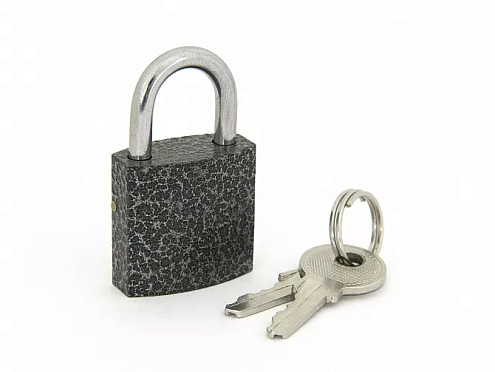 PALLADIUM Замок навесной 303F-30: фотография 1