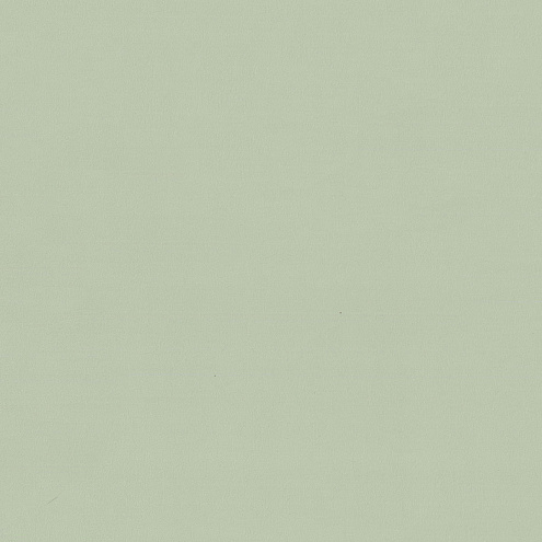 7315-04 Обои &quot;EuroDecor&quot; 10х1,06м компактный винил на флизелине Stronghold: фотография 1