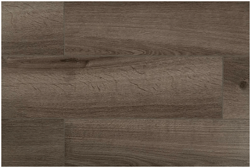 Ламинат  Ideal Choice 33 Дуб Спа ID83 фаска 4V 8мм  : фотография 1