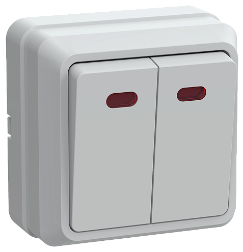 Выключатель 2-кл. ОП ОКТАВА с инд. 10А IP20 ВС20-2-1-ОБ бел. ИЭК EVO21-K01-10-DC: фотография 1