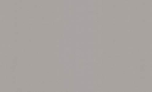 71822-28HC Обои "Home Color" 10х1,06м компакт винил на флизе Monochrome : фотография 1