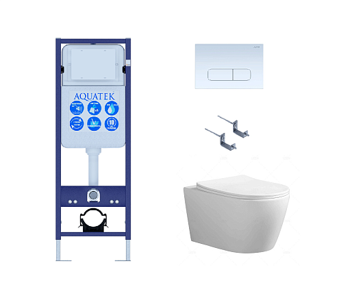 SET Aquatek Аура INS17/KDI13: рама Aquatek INS-0000017+ крепеж KKI-0000002 +кнопка KDI-0000013+унитаз Аура AQ1805T-00: фотография 1