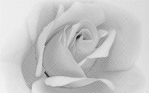 Декор 25х40 Камелия черный 02 : фотография 1