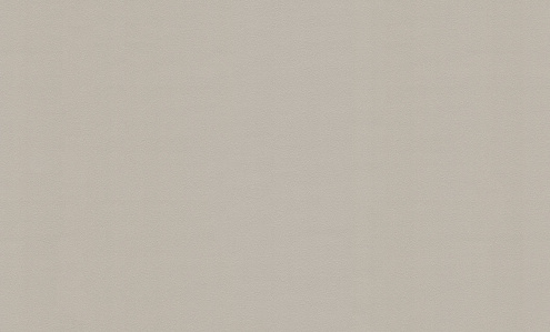 72822-20HC Обои "Home Color" 10х1,06м компакт винил на флизе Monochrome 2 : фотография 1