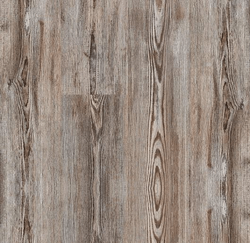 Ламинат Kastamonu Ideal Look 33  8 4V  Сосна Шик: фотография 1