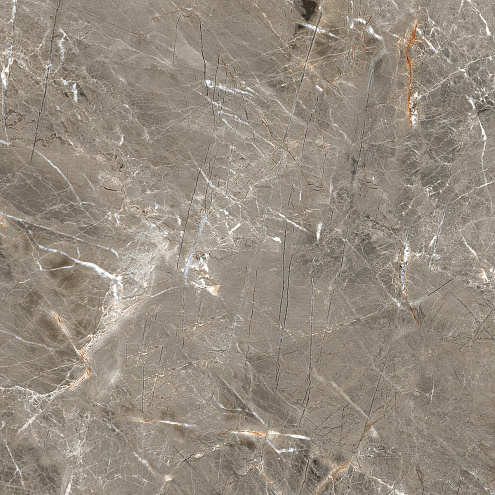 Керамогранит Royce Olympia Grey 60х60 Matt R_NR1011: фотография 1