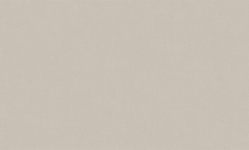 588991 Обои "Ateliero" 10х1,06м компакт винил на флизе Director : фотография 1