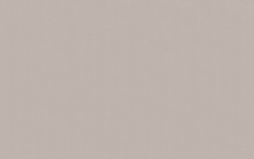 70393-28 Обои "Аспект" 10х1,06м компакт винил на флизелине Deluxe : фотография 1