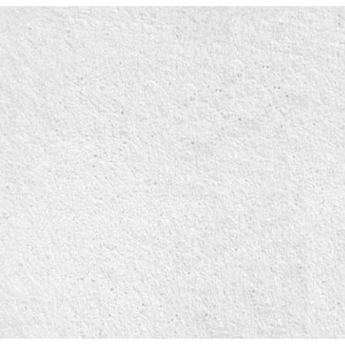 Плита потолочная влагостойкая &quot;Лилия&quot; Rockfon, белая, 600x600x12мм: фотография 1