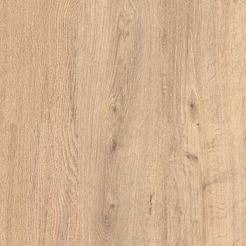 ЛаминатCuberta Family 33 8  Дуб Адель : фотография 1