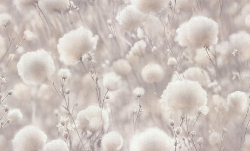 72543-22PL Обои "Палитра" 10х1,06м компакт винил на флизе Cottonia : фотография 1