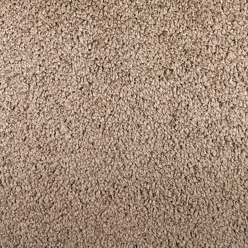 Ковровое покрытие  Шегги 85  2м: фотография 1