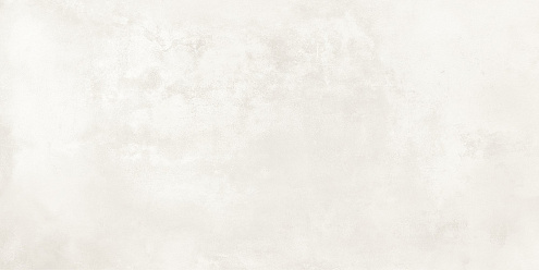 Керамогранит 40х80 Onega светло-серый GT408013506MR : фотография 1