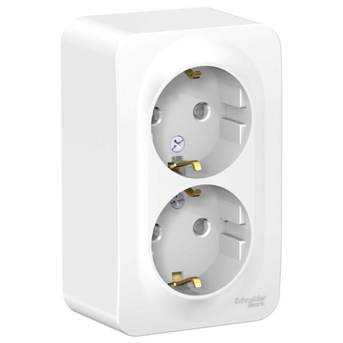 Розетка 2-м ОП Blanca 16А IP20 250В с заземлением, защитные шторки с металлической пластиной белая SE BLNRA011221: фотография 1