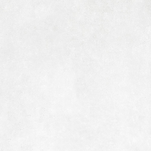 Керамогранит 60х60 Boreal светло-серый GT60601706MR: фотография 1