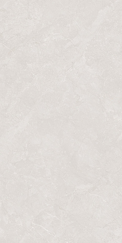 Керамогранит 60х120 Timeless серо-бежевый GT1206016815MDR: фотография 1