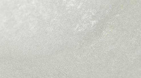 70609-76 Обои "Аспект" 10х1,06 м компакт винил на флизелине Моника: фотография 1