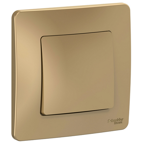 Выключатель 1-кл. СП Blanca 10А IP20 (сх. 1) 250В титан SchE BLNVS010104: фотография 1