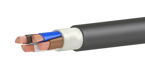 Кабель ВВГнг(А)-LS 4х70 МС (N) 1кВ (м) Кавказкабель 31011380302: фотография 1