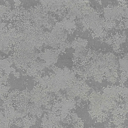 AK21011 Обои "Wiganford" 10х1,06м компакт винил на флизелине Geo Terra : фотография 1