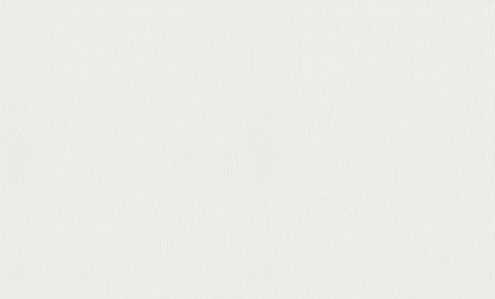 71823-11HC Обои "Home Color" 10х1,06м компакт винил на флизе Monochrome : фотография 1