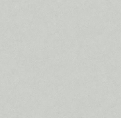 585115 Обои "Victoria Stenova" 10х1,06м компакт винил на флизе Magnolia : фотография 1