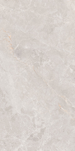 Керамогранит 60х120 Montera светло-серый GT1206018106MCR: фотография 1