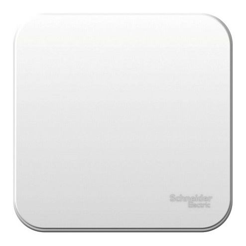 Выключатель 1-клавиша ОП Blanca 6А IP20 (сх. 1) 250В с изолированной пластиной белый SE BLNVA061011: фотография 1