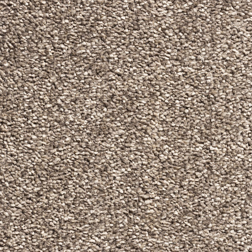 Ковровое покрытие  Cardinal 10558 cream/coffee 4м: фотография 1