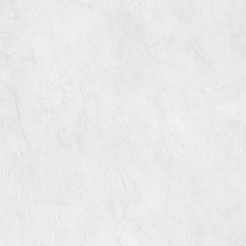 Керамогранит 60x60 Lauretta white PG 01 : фотография 1