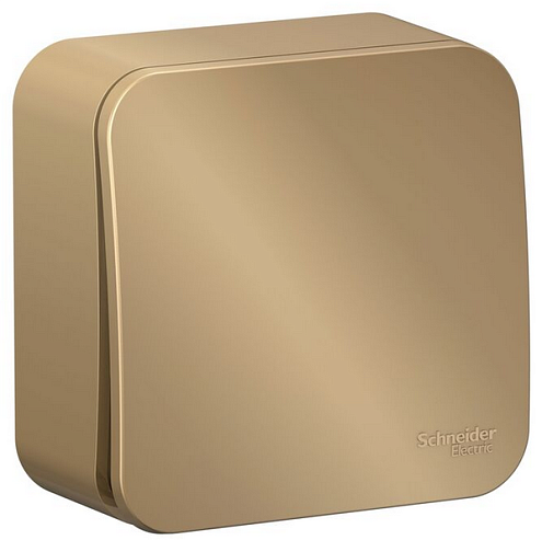 Выключатель 1-кл. ОП Blanca 10А IP20 (сх. 1) 250В с изолир. пластиной титан SchE BLNVA101014: фотография 1