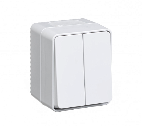 Выключатель 2-клавишный AtlasDesign PROFI IP54 10AX белый Systeme Electric ATN540151: фотография 1