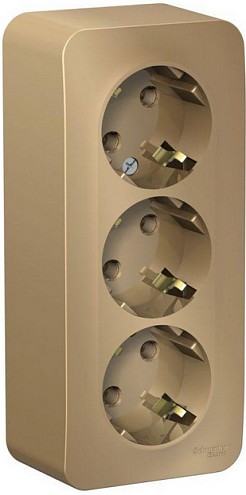 Розетка 3-м ОП Blanca 16А IP20 250В с заземл. без защ. шторок с изолир. пластиной титан SchE BLNRA010314: фотография 1