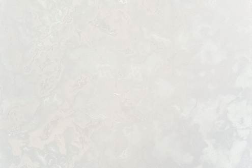 11421-05 Обои "Freedom" 10х1,06м компакт винил на флизе Паулина : фотография 1