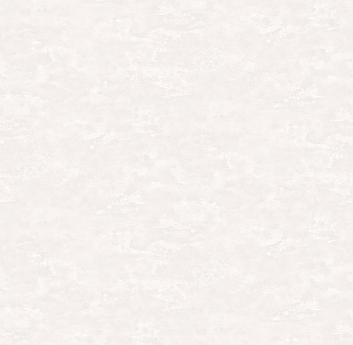 588266 Обои &quot;Victoria Stenova&quot; 10х1,06м компакт винил на флизе Allegra : фотография 1