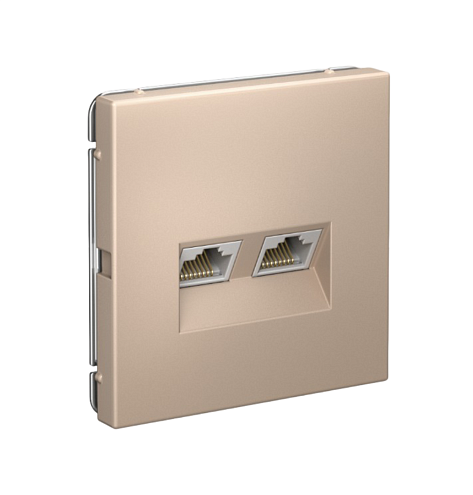 Розетка компьютерная двойная ArtGallery RJ45 + RJ45 кат.5E механизм песочный Systeme Electric GAL001285: фотография 1