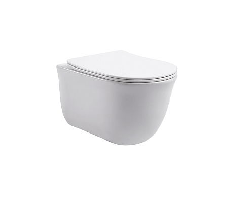 Унитаз подвесной безободковый Aquatek Классик AQ1111-00 525х365х340 с легкосъемным сиденьем Soft Close: фотография 1