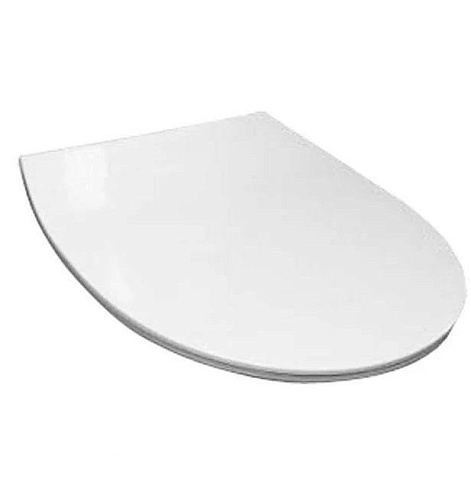 Крышка-сиденье для напольного унитаза Roca Victoria Nord Slim ZRU9302919, микролифт: фотография 1