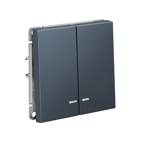 Выключатель 2-клавишный ArtGallery (сх.5а) 10AX с подсветкой механизм грифель Systeme Electric GAL000753: фотография 1