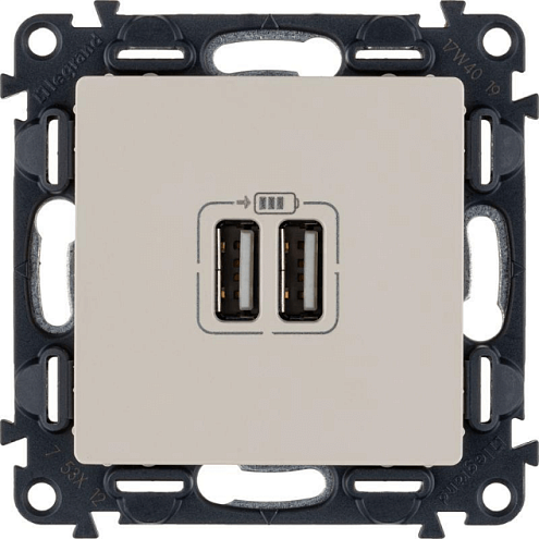 Механизм розетки USB 2-м Valena Life 240В/5В 1500мА с лицевой панелью сл. кость Leg 753512: фотография 1