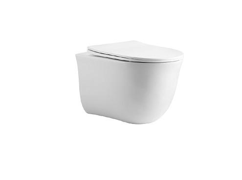 Унитаз подвесной безободковый Aquatek Классик AQ1112T-00 490х365х340 с легкосъемным сиденьем Soft Close, смыв Торнадо: фотография 1