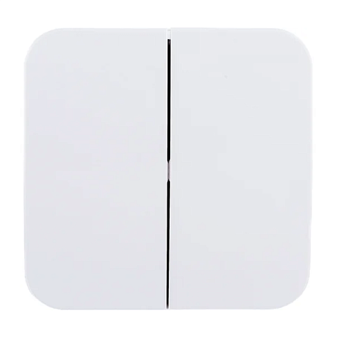 Выключатель 2-кл ОП Blanca 6А IP20 (сх. 5) 250В с изолированной пластиной белый SE BLNVA065011: фотография 1