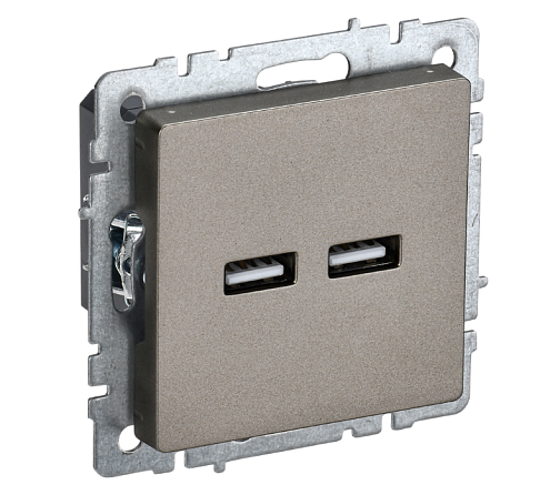 Розетка BRITE РЮ10-1-БрШ USB A+A 3.1А механизм шампань IEK BR-U21-D31-K37: фотография 1