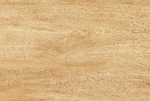 Настенная плитка 40х27 Vega бежевая дерево 9VG0045TG : фотография 1